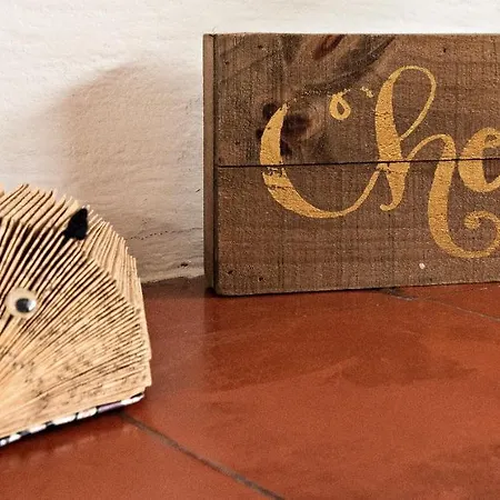 Apartament Toit Terrasse Centre Historique Ajaccio (Corsica)